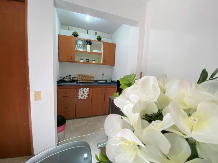 Loft En Caney, * Cali